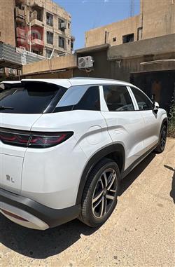 بي واي دي سونغ L DM-i